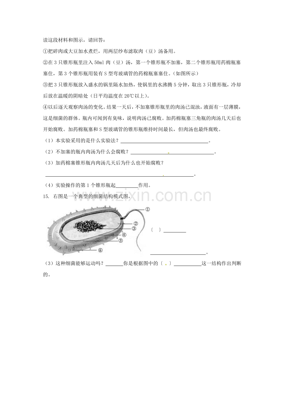 八年级生物上册----细菌同步练习2-新版新人教版1.doc_第3页