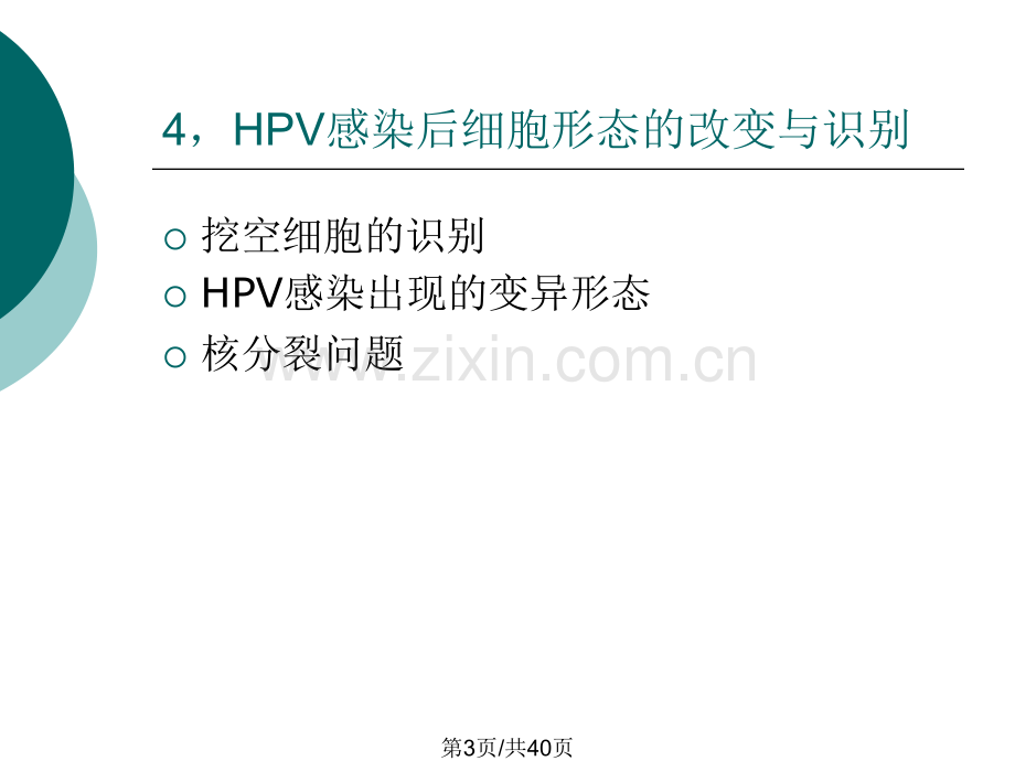 HPV感染性病变病理诊断.pptx_第3页