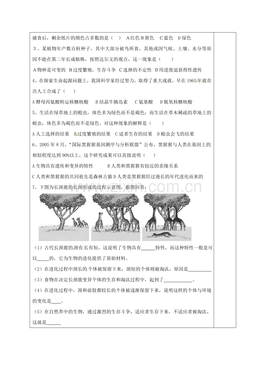 八年级生物下册---生命起源和生物进化复习教案-新版新人教版.doc_第2页