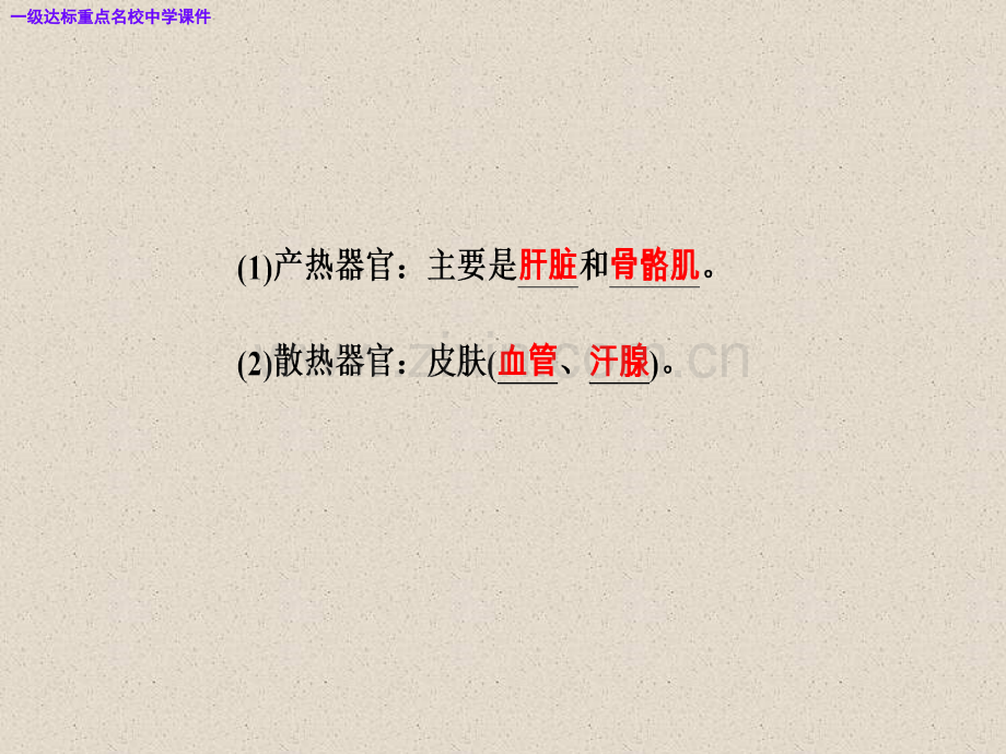 高三生物复习精讲精练之专题十四考点3体温调节水盐调节和血糖调节.pptx_第3页