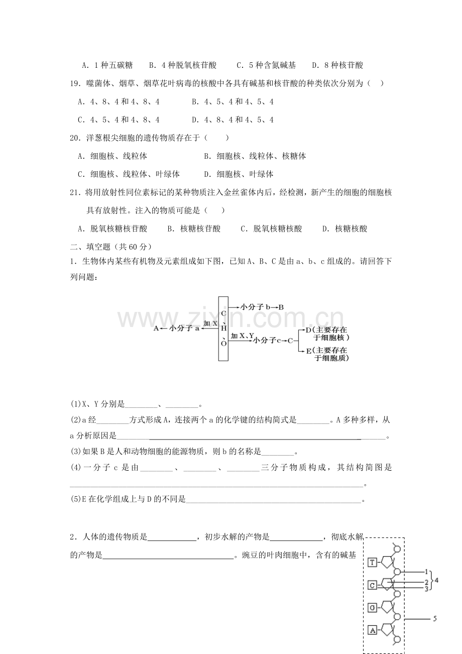 高一生物上学期第5周试题.doc_第3页