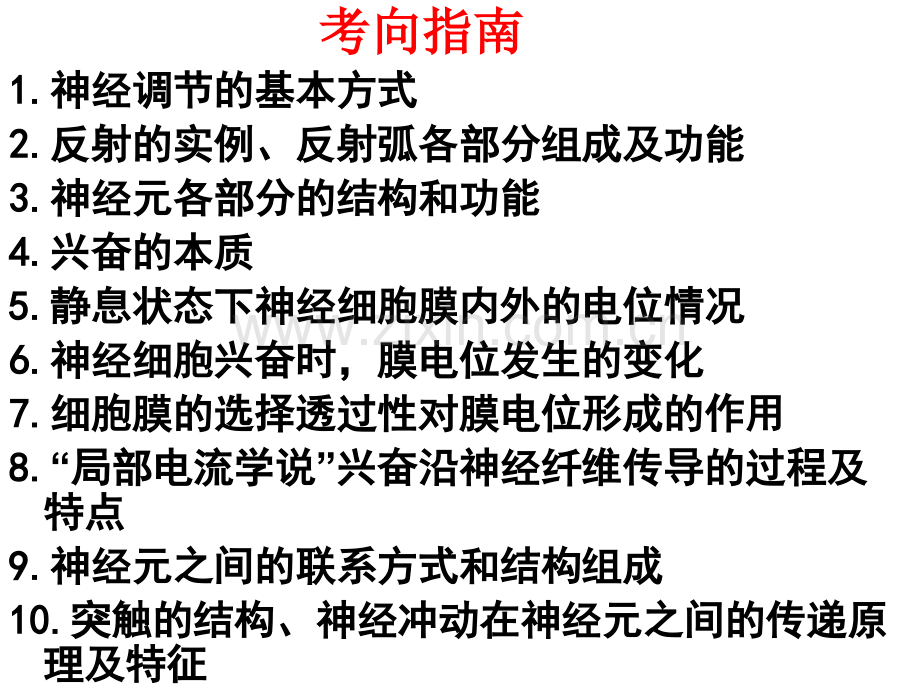 高中教育通过神经系统调节.pptx_第3页