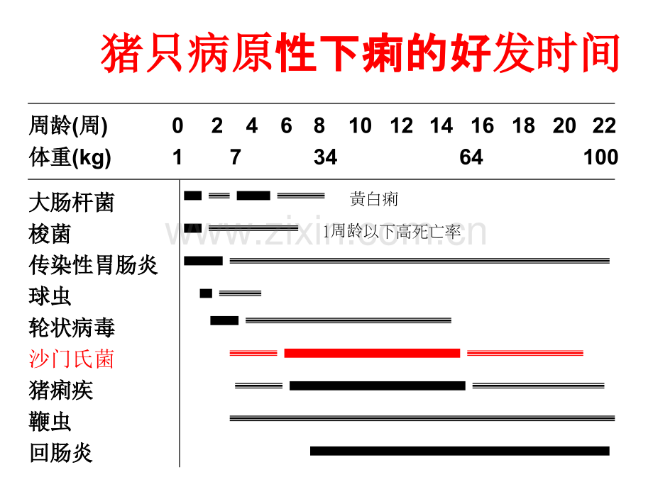 猪沙门氏菌症.pptx_第2页