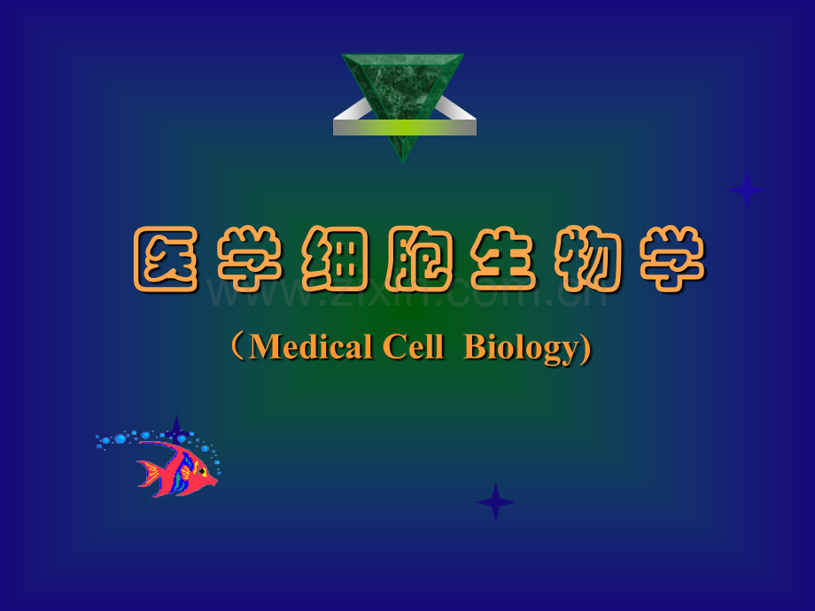 细胞生物学绪论进化.pptx_第1页