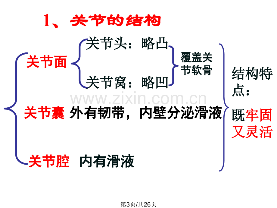 八上生物中考重点复习件.pptx_第3页