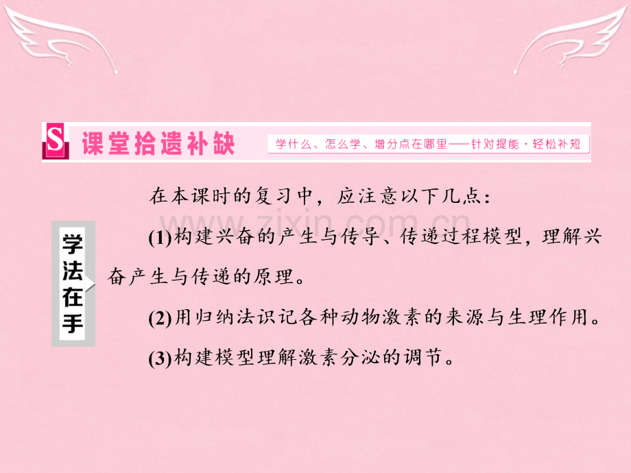 高三生物二轮复习专题三稳态系统系统两大调节方式神经调节与体液调节重点保分课.pptx_第1页