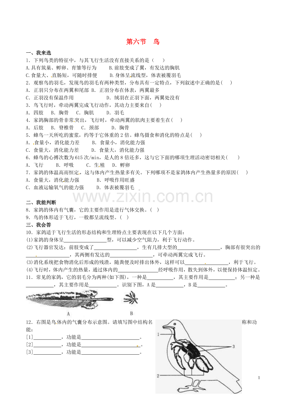 八年级生物上册----鸟同步练习3-新版新人教版1.doc_第1页