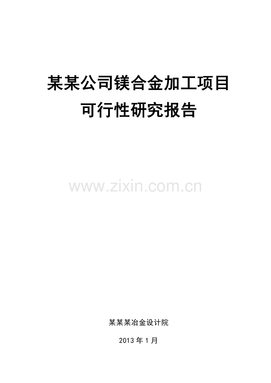 某公司镁合金加工项目-建设可行性研究报告(2013-108页).doc_第1页