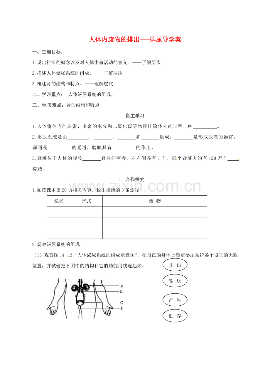 八年级生物上册-6152-人体内废物的排出导学案1无答案新版苏科版.doc_第1页