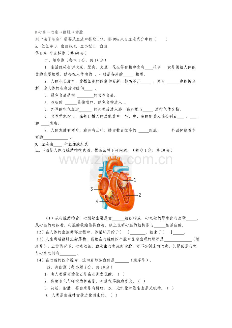 七年级下册生物期中测试试卷.doc_第3页