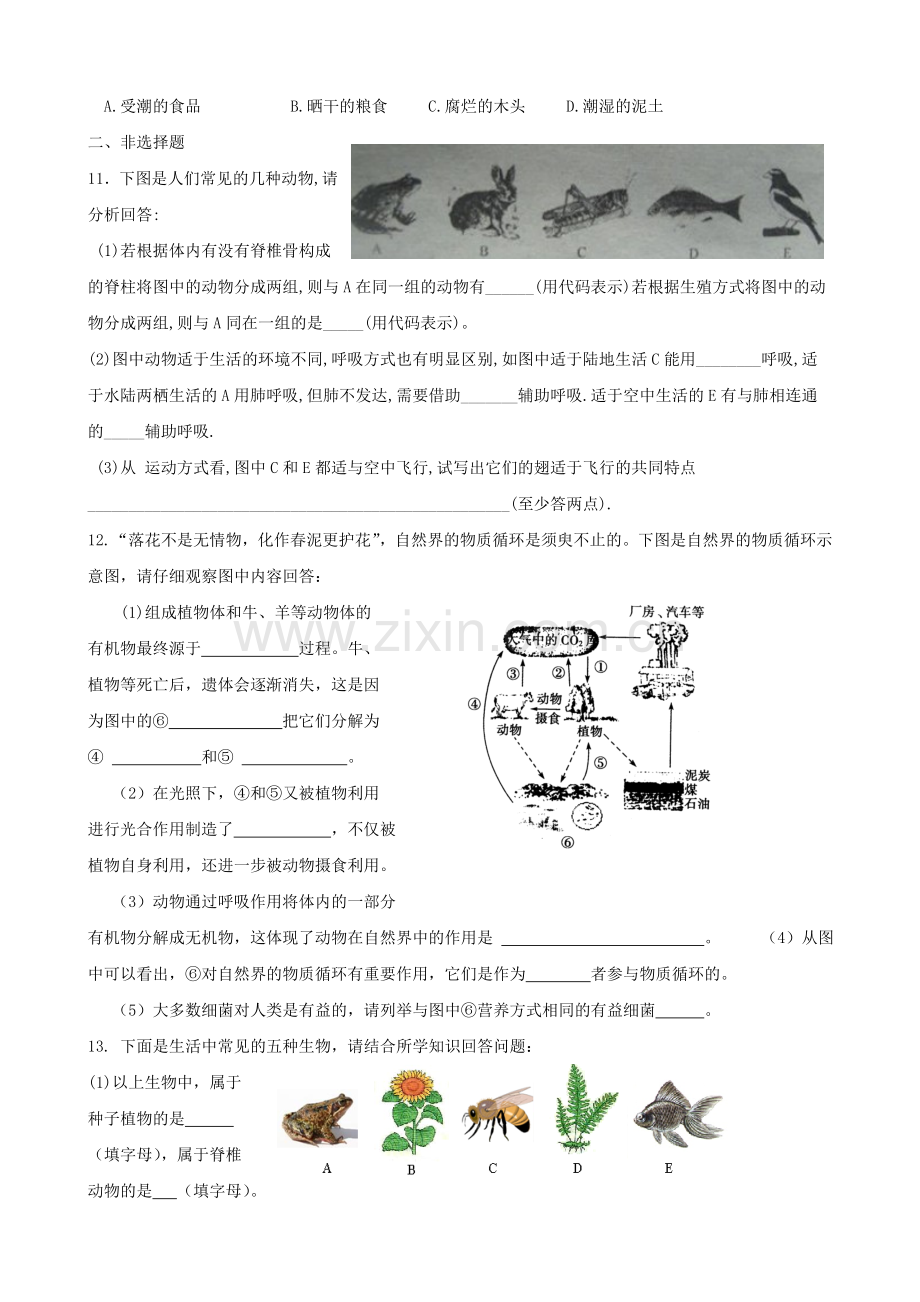 初中生物复习专题训练七生物多样性及其保护.doc_第2页