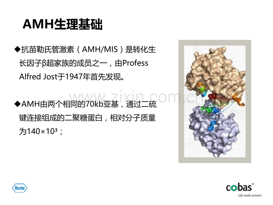 卵巢储备功能新指标.pptx_第3页