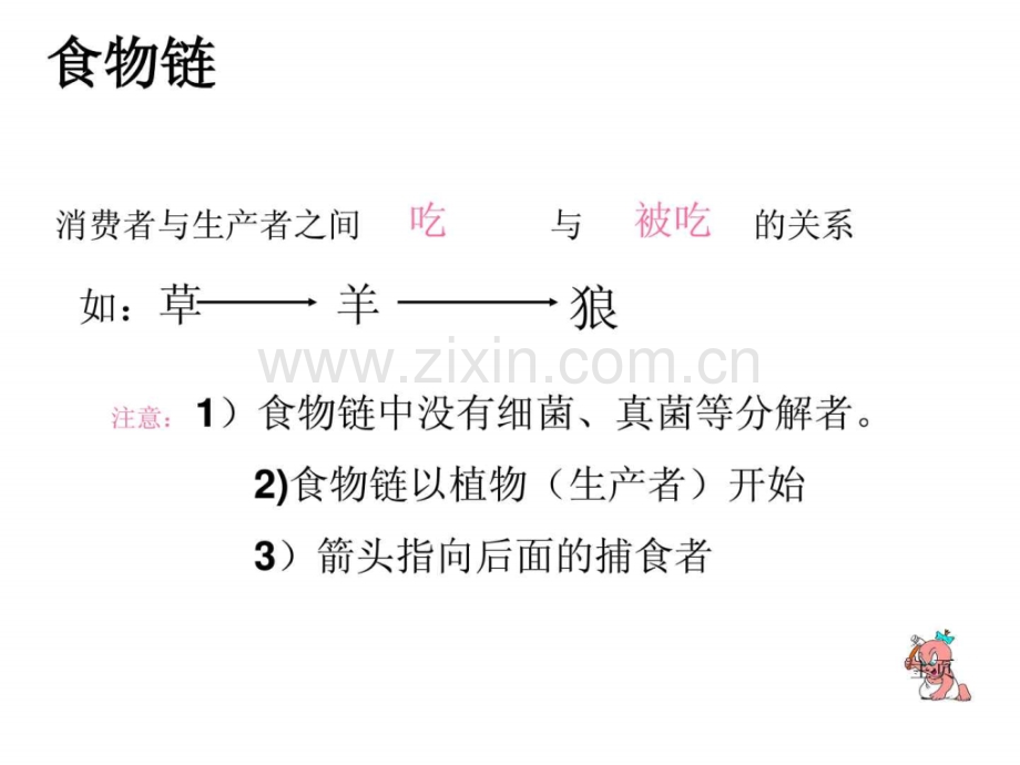 初中生物中考专题图复习.pptx_第3页