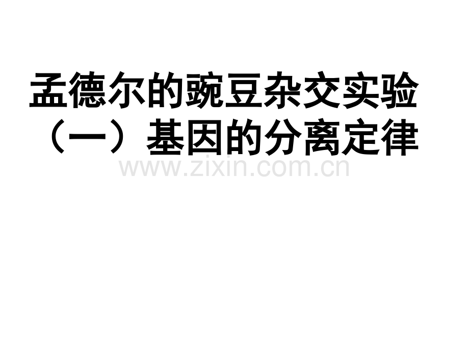 高三生物高考件孟德尔豌豆杂交实验一.pptx_第1页