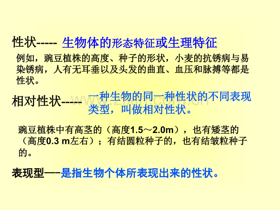 孟德尔豌豆杂交试验一ppt.pptx_第2页