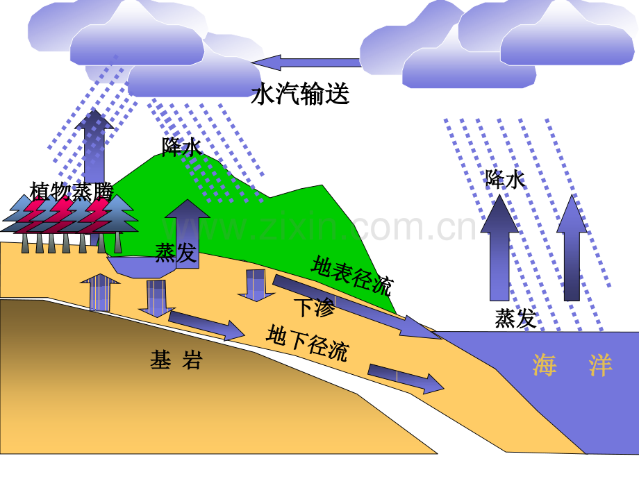 高三第一轮复习水循环.pptx_第3页