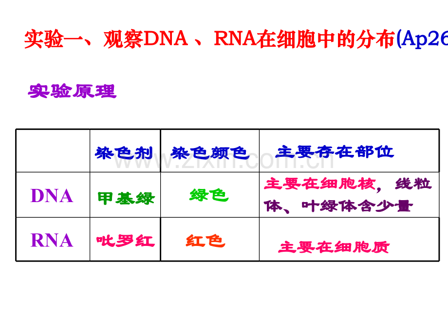 高三生物实验专题基础.pptx_第3页