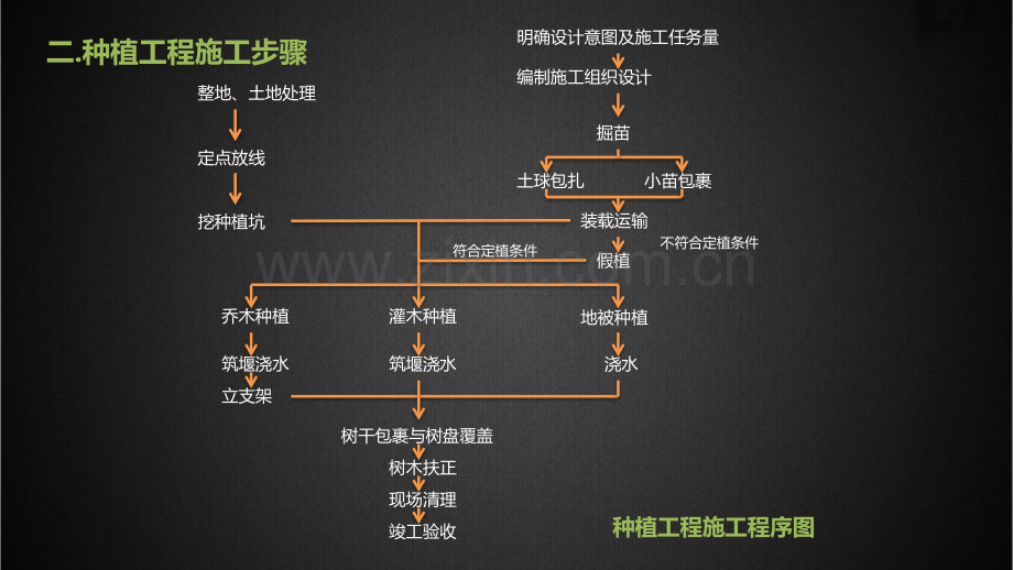 风景园林种植工程.pptx_第3页