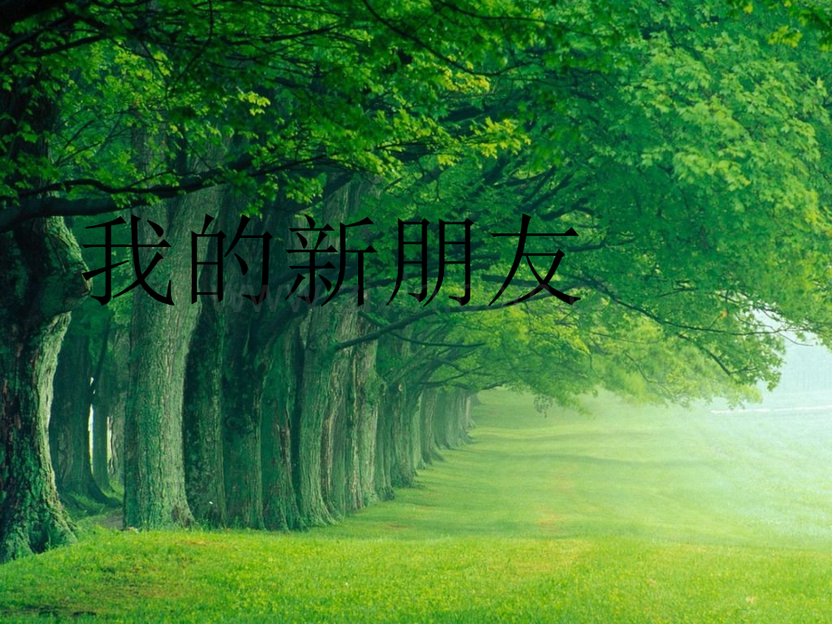 我的新朋友课件.pptx_第1页