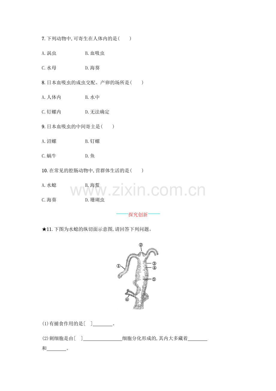 八年级生物上册-511-腔肠动物和扁形动物课后练习-新版新人教版.doc_第2页