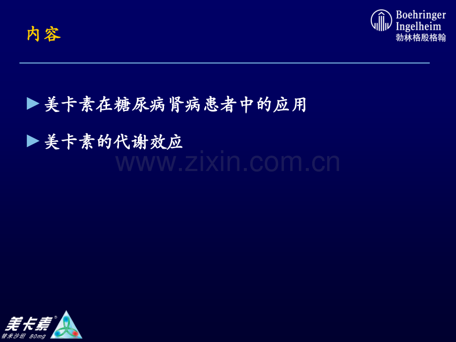 Build2007H2美卡素CMESlides代谢效应.pptx_第2页