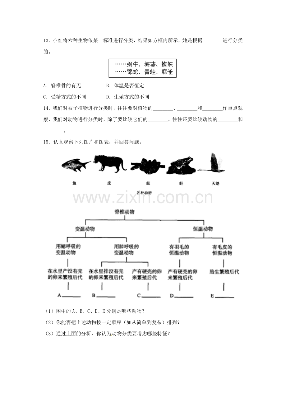 八年级生物上册----尝试对生物进行分类同步练习3-新版新人教版1.doc_第3页