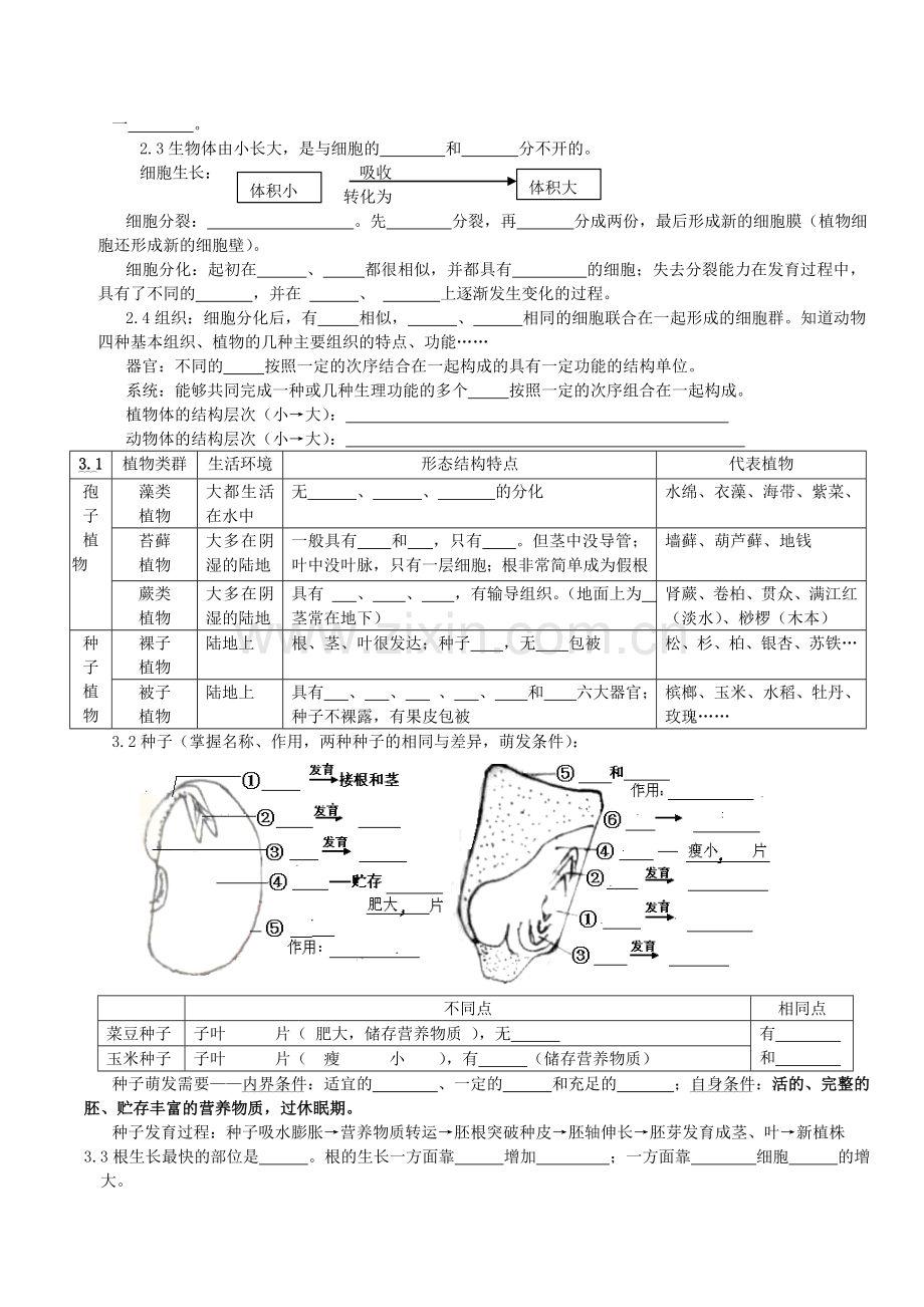 初中生物中考总复习重要知识点图表等人教版.doc_第3页