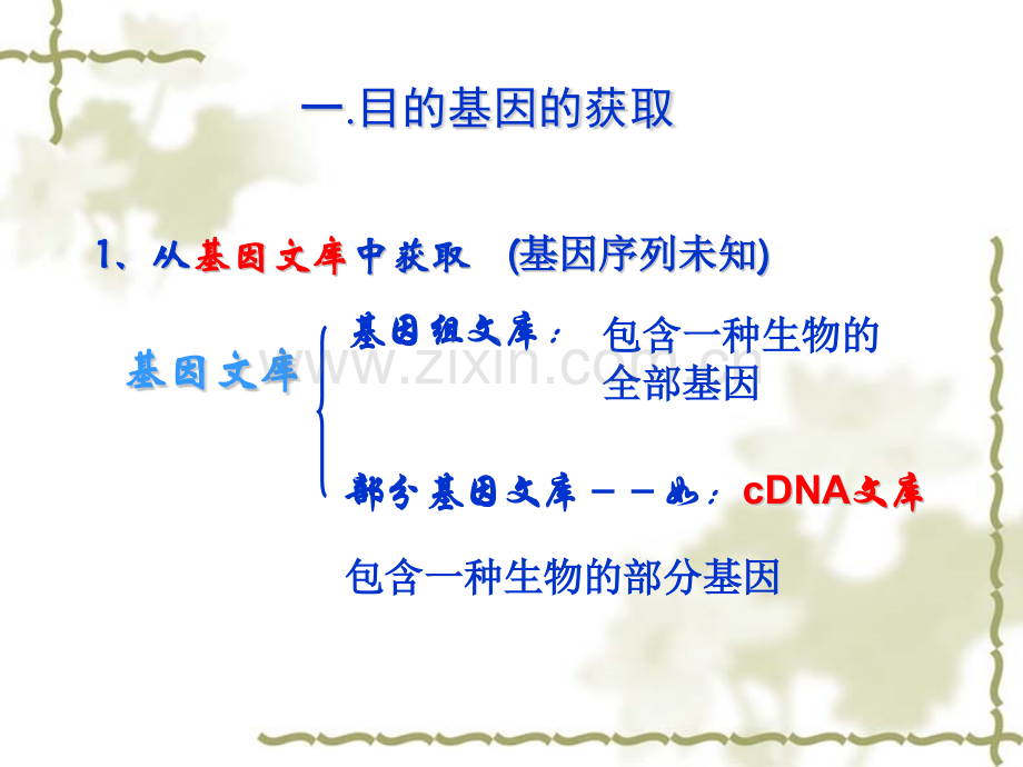 高三生物工程.pptx_第3页