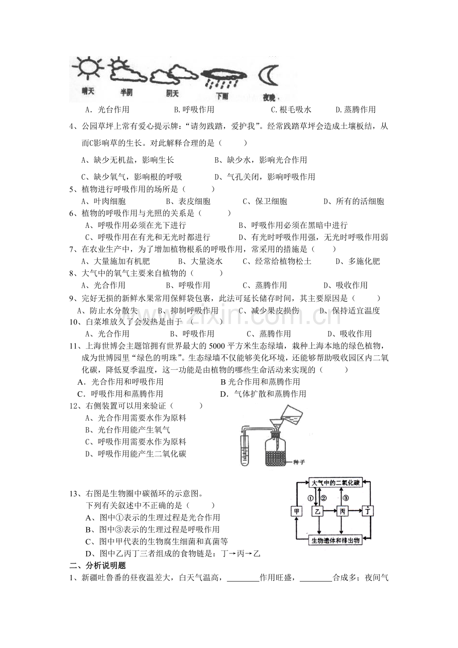 七年级生物上册绿色植物对有机物的利用学案人教版.doc_第3页