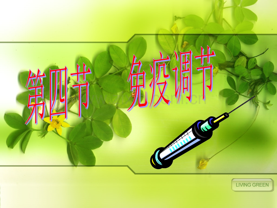 24免疫调节课件.pptx_第1页