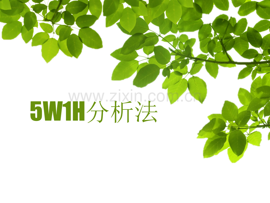 5W1H分析法.pptx_第1页