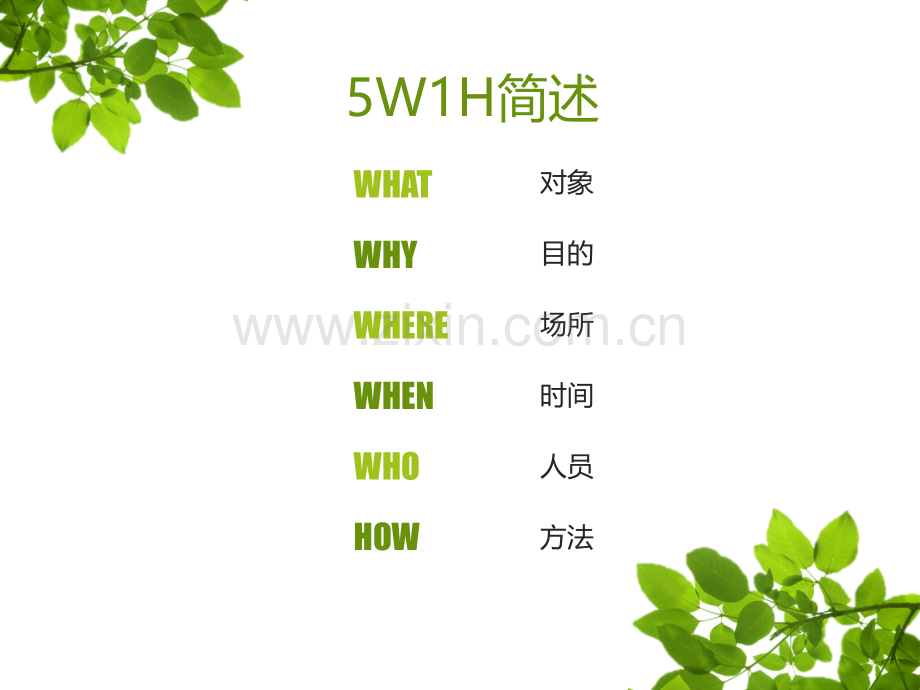 5W1H分析法.pptx_第2页