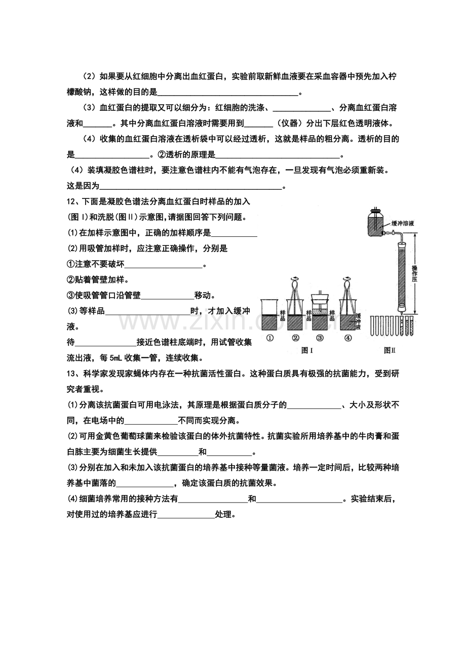 53血红蛋白的提取与分离习题专练.doc_第2页