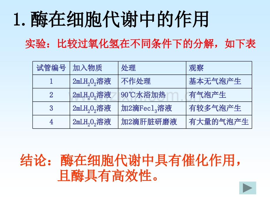 高三生物复习课降低化学反应活化能的酶综合.pptx_第3页