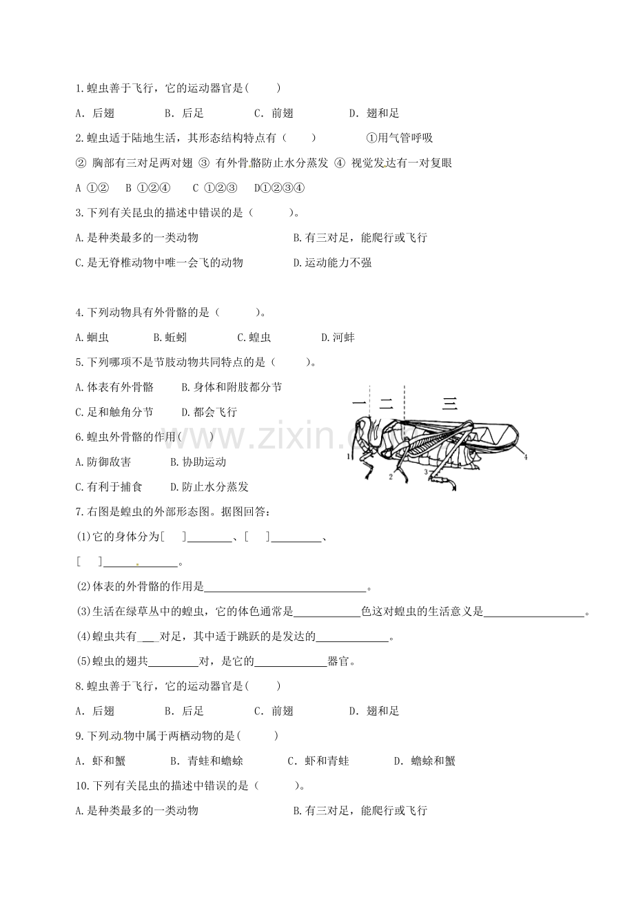 八年级生物上册-513-软体动物和节肢动物导学案2无答案新版新人教版.doc_第2页