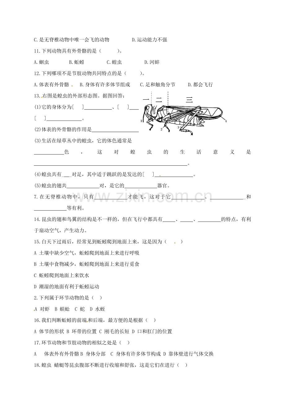 八年级生物上册-513-软体动物和节肢动物导学案2无答案新版新人教版.doc_第3页