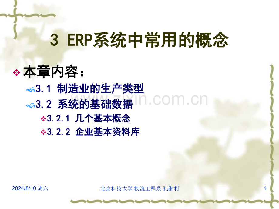 ERP系统中常用的概念.pptx_第1页