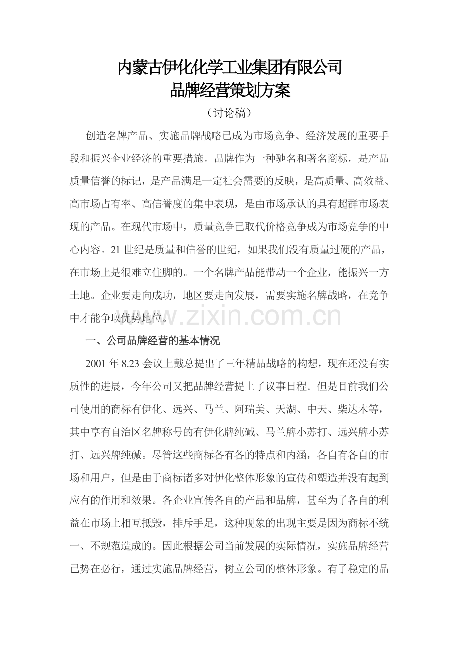 内蒙古伊化化学工业集团有限公司品牌经营策划方案范文.doc_第1页