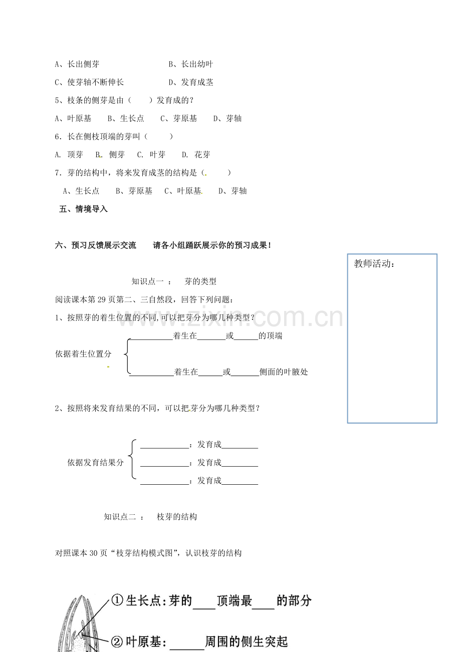 八年级生物上册-416-芽的类型和发育时学案无答案新版济南版.doc_第2页