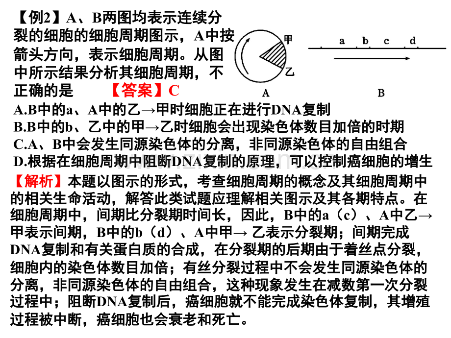 高三生物二轮复习题型分析专项06细胞生命历程.pptx_第3页