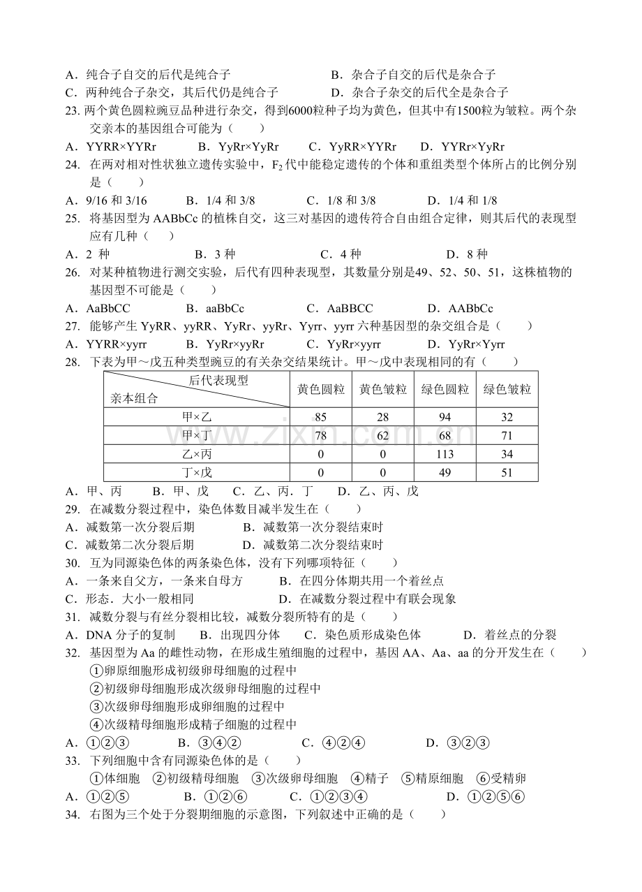 2008下高一年必修二生物期中考试试卷1.doc_第3页