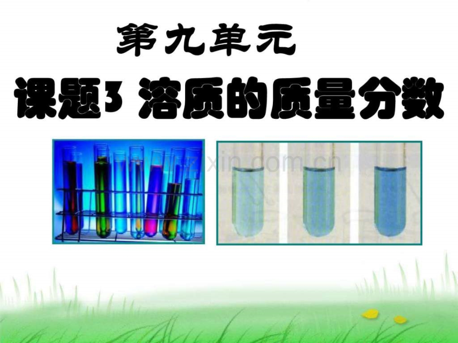 人教版化学九年级下册溶液课题3溶质的质量.pptx_第1页