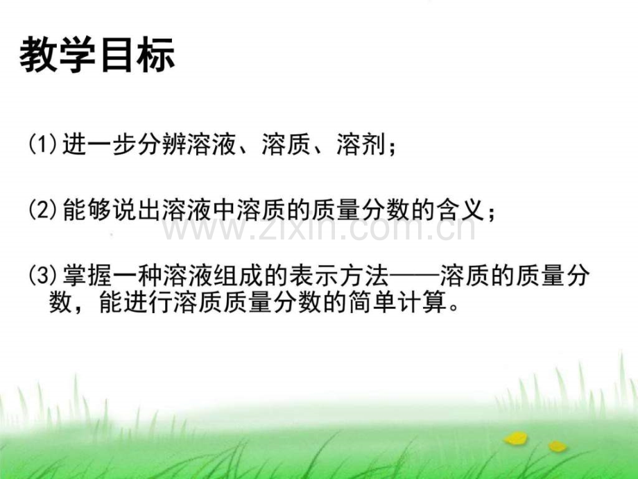 人教版化学九年级下册溶液课题3溶质的质量.pptx_第2页