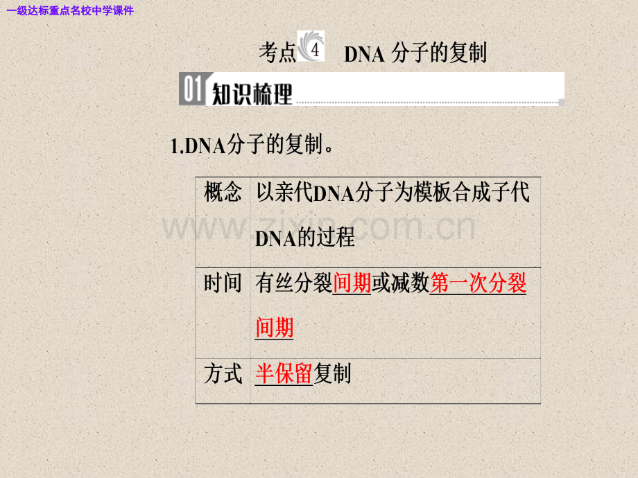 高三生物复习精讲精练之专题七考点4DNA分子的复制.pptx_第2页