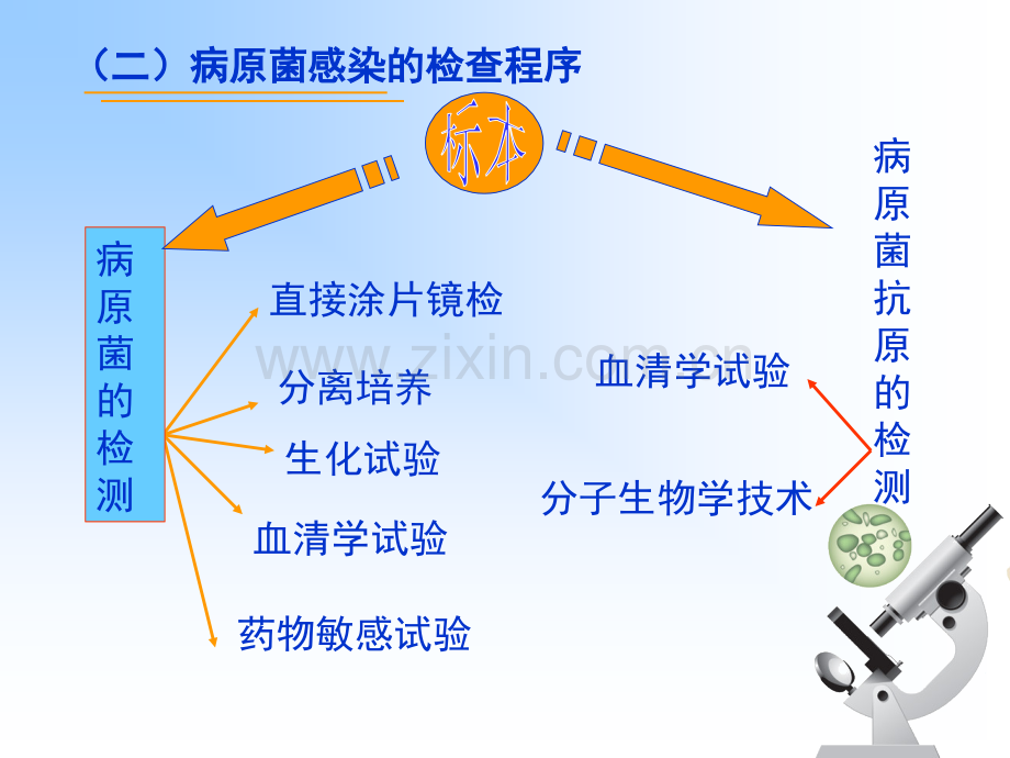 微生物感染的诊断与控制.pptx_第2页