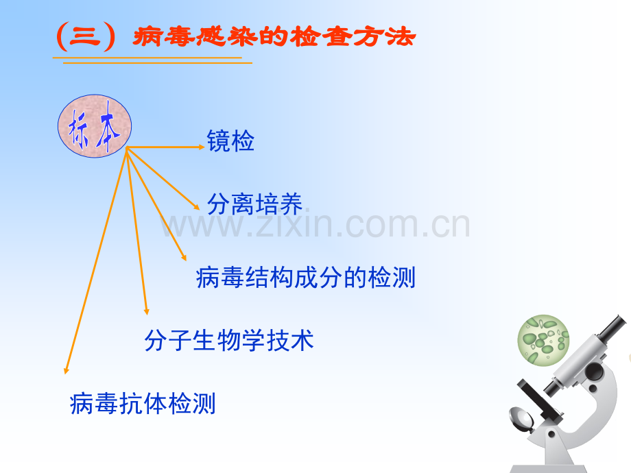 微生物感染的诊断与控制.pptx_第3页