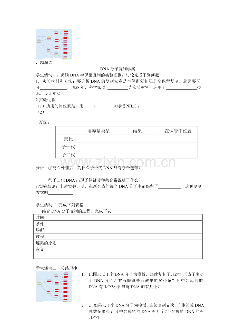 DNA分子的复制教学设计电子稿.doc_第2页