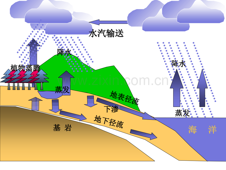 高三第一轮复习水循环共101张.pptx_第3页