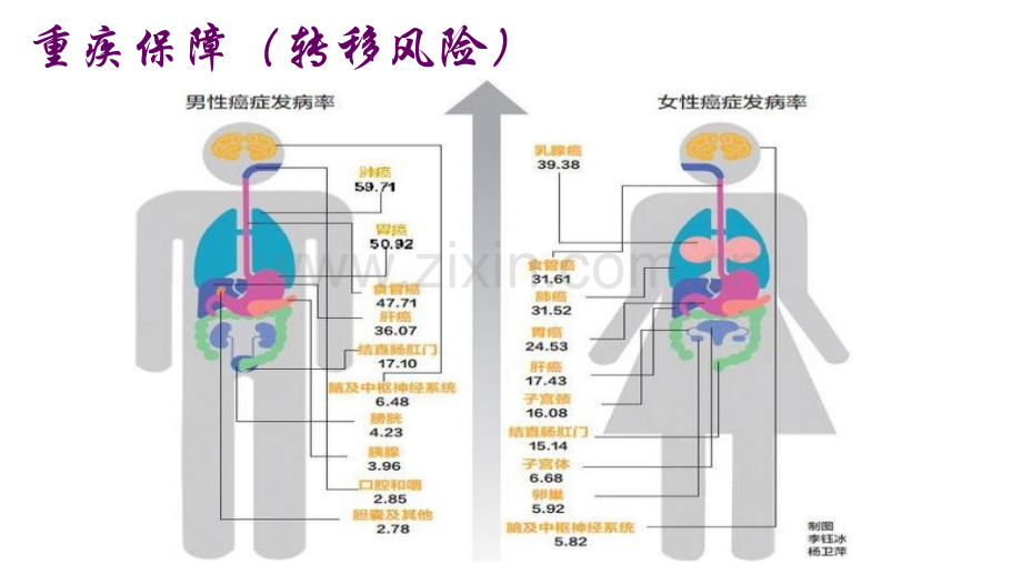 为什么买离岸保单.pptx_第3页