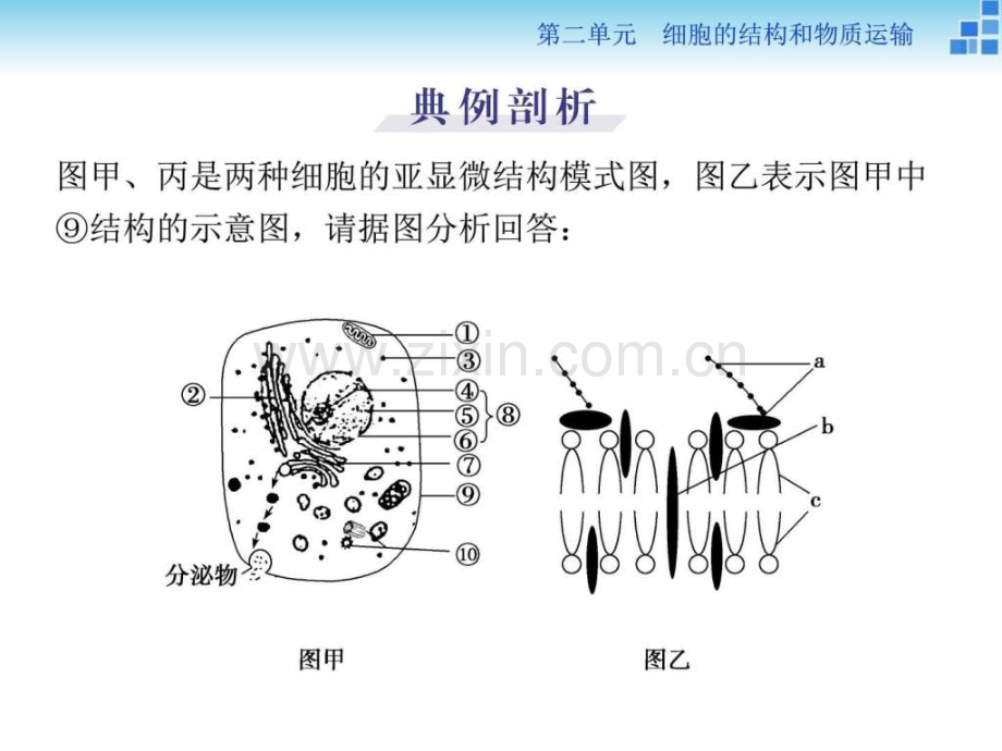 高三生物复习单元培优提能系列二图文.pptx_第3页